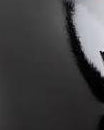 Black Foil Cardstock - Demi's Krafts